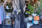 Sale Photo Thumbnail #16