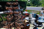Sale Photo Thumbnail #11