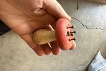 Sale Photo Thumbnail #10