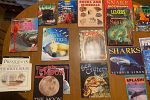 Sale Photo Thumbnail #39