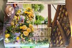 Sale Photo Thumbnail #32