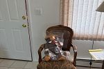 Sale Photo Thumbnail #18