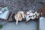 Sale Photo Thumbnail #32
