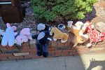 Sale Photo Thumbnail #38