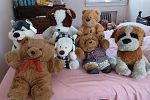 Sale Photo Thumbnail #40