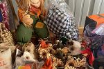 Sale Photo Thumbnail #1