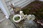 Sale Photo Thumbnail #22