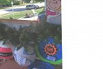 Sale Photo Thumbnail #9