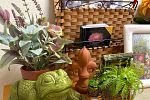 Sale Photo Thumbnail #28