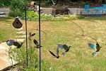 Sale Photo Thumbnail #40