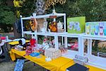 Sale Photo Thumbnail #10