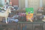 Sale Photo Thumbnail #5