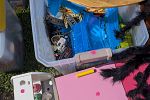 Sale Photo Thumbnail #20