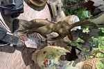 Sale Photo Thumbnail #18