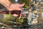 Sale Photo Thumbnail #28