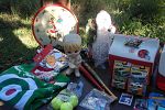 Sale Photo Thumbnail #20