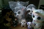 Sale Photo Thumbnail #14