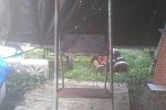 Sale Photo Thumbnail #25