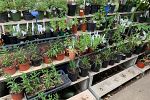 Sale Photo Thumbnail #46