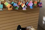 Sale Photo Thumbnail #20