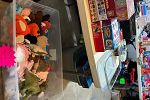 Sale Photo Thumbnail #3