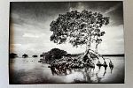 Sale Photo Thumbnail #29
