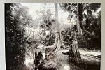 Sale Photo Thumbnail #28