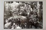 Sale Photo Thumbnail #32