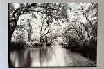 Sale Photo Thumbnail #30