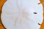 Sale Photo Thumbnail #31