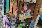 Sale Photo Thumbnail #23