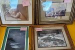 Sale Photo Thumbnail #14