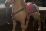 Sale Photo Thumbnail #12
