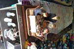 Sale Photo Thumbnail #22