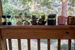 Sale Photo Thumbnail #16