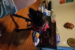 Sale Photo Thumbnail #16