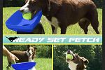 Sale Photo Thumbnail #64