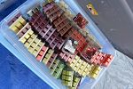 Sale Photo Thumbnail #5
