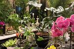 Sale Photo Thumbnail #17