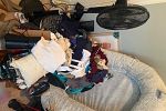 Sale Photo Thumbnail #7