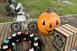 Sale Photo Thumbnail #13