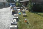 Sale Photo Thumbnail #11