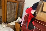 Sale Photo Thumbnail #2