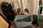 Sale Photo Thumbnail #36