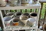 Sale Photo Thumbnail #22
