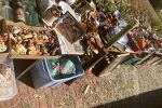 Sale Photo Thumbnail #16