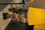 Sale Photo Thumbnail #16