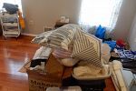 Sale Photo Thumbnail #20