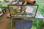 Sale Photo Thumbnail #28