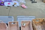 Sale Photo Thumbnail #15